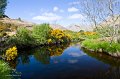 8. A backwater on the Bundorragh river